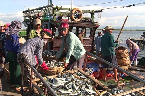 Sea pollution-affected fishermen in Thua Thien-Hue get support 