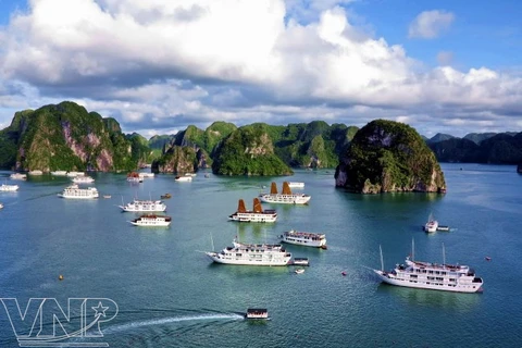 Tourism contributes significantly to Vietnam’s economy 