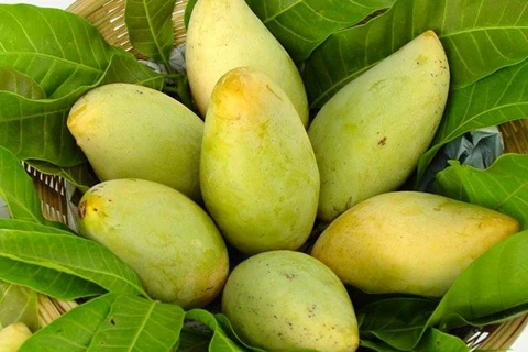 US to open door for Vietnamese mangoes