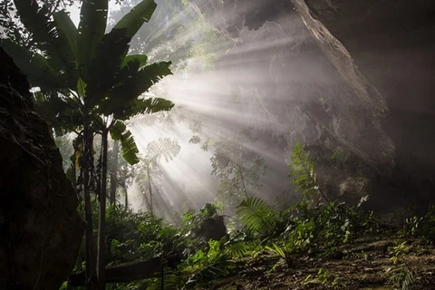 360 tourists book adventure tour of Son Doong Cave 