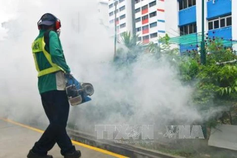 Singapore discovers more cases of Zika virus