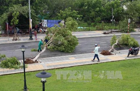 Central localities urged to overcome storm consequences