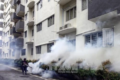 Malaysia suspects new Zika virus type