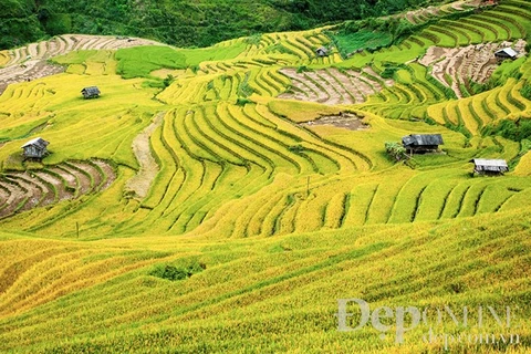 Cultural week of Mu Cang Chai terraced field opens