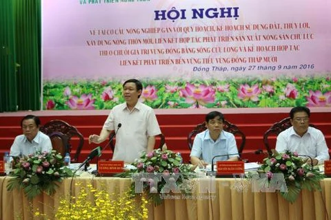Mekong Delta: Agricultural restructuring needs to follow planning