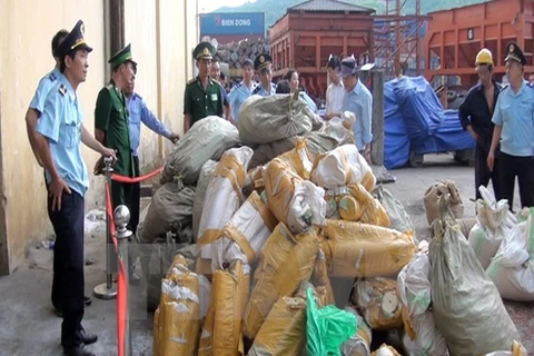 Two tonnes of suspected elephant tusks found at Sai Gon port