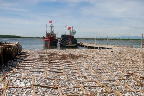 Quang Tri allocates compensation to environmental victims