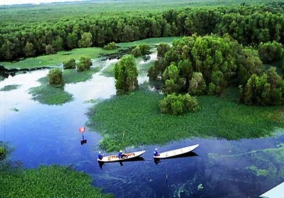 U Minh Thuong National Park expected to become friendly destination