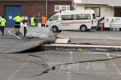 No Vietnamese at quake zone in New Zealand