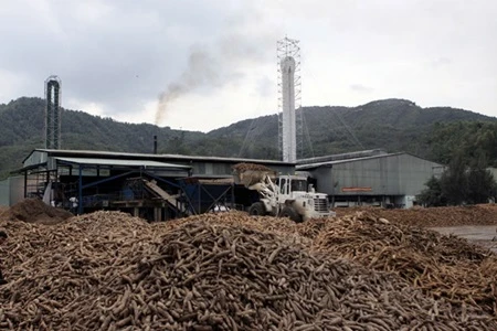  Export tax on sliced cassava cut