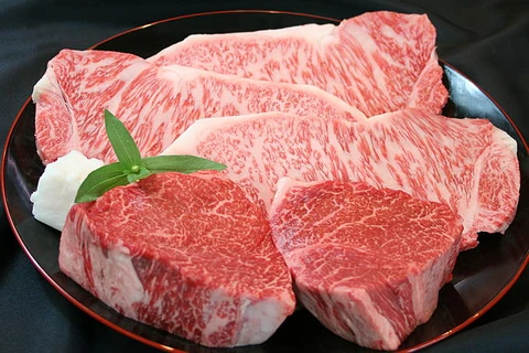 Japan’s beef cows to be raised in Ha Nam