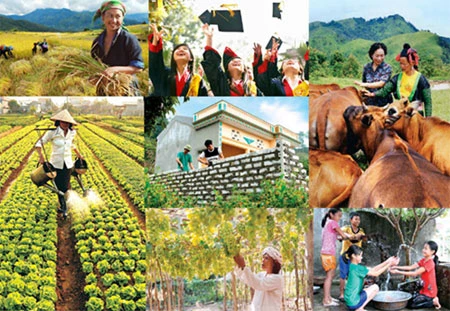 Vietnam’s MDG implementation over 15 years reviewed