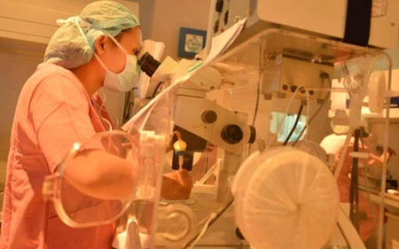 Fertility ward helps Hanoi couples