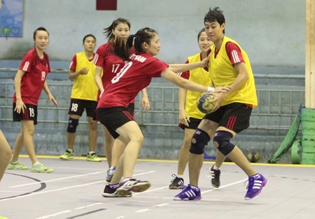 Vietnam to host Southeast Asian handball tournament