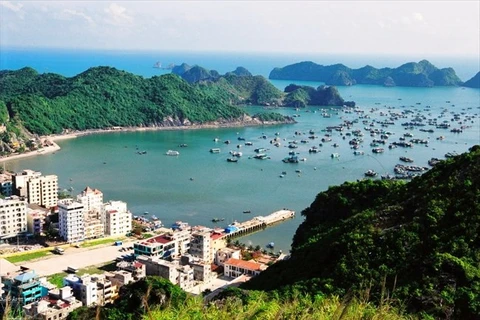  Cat Ba urged to develop new tourism services