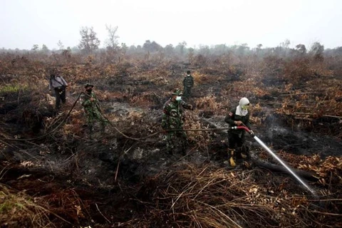 Indonesia deploys 25 aircraft to put out forest fires