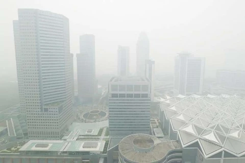 Singapore: International cooperation needed to tackle haze