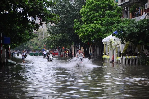 Rain forecast for northeast region as storm Mujigae hits China peninsu