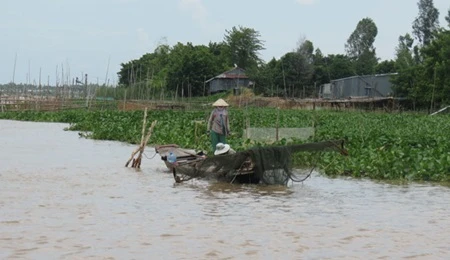 Mekong Delta faces water shortage