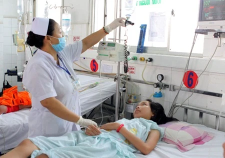 Vietnamese spend millions on dengue fever treatments 