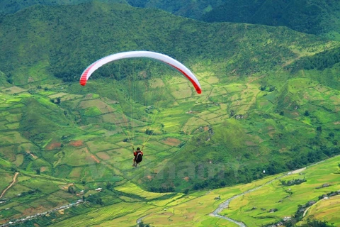 Paragliding over yellow terraced rice fields