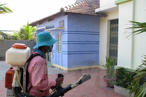 Hanoi: Drastic measures needed to end dengue fever 