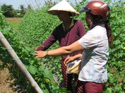 ASEAN can boost agri-industry through empowerment of women: FAO 