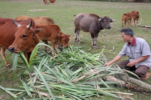 Binh Duong increases poverty line by 1.7 times 