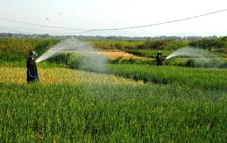 Power, agriculture sectors brace for water shortages 