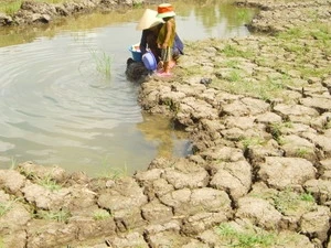 Saltwater continues threatening Mekong Delta 