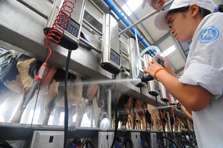 New standards to be set for raw milk 