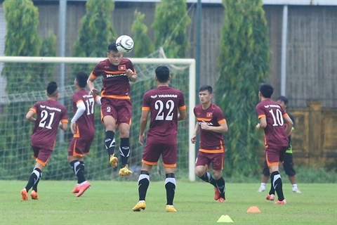 Vietnamese football team to train abroad for AFF Cup 