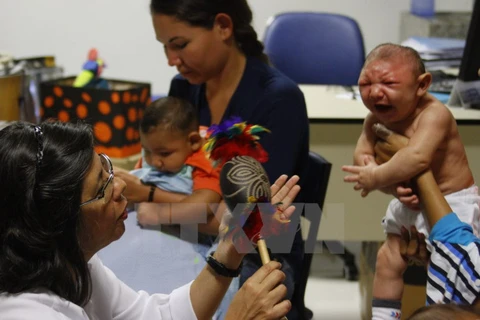 Binh Dinh gives Zika training for caring for pregnant women