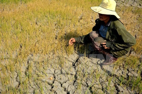 UN Women, RoK partner to help Vietnam’s drought-affected women
