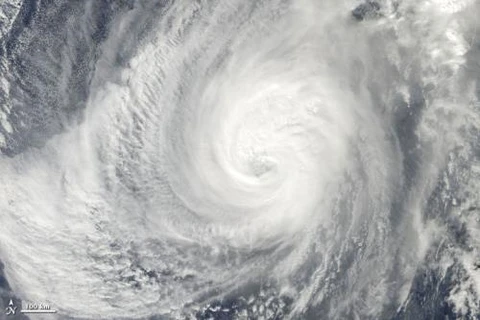 Typhoon Nida hits south China