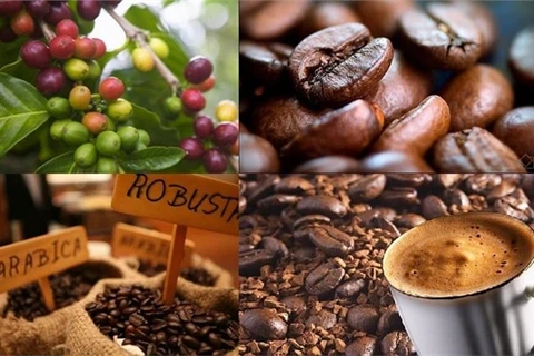 Companies vow pure coffee