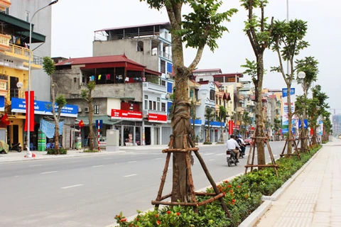 Hanoi to plant 45,000 trees along Thang Long Avenue 