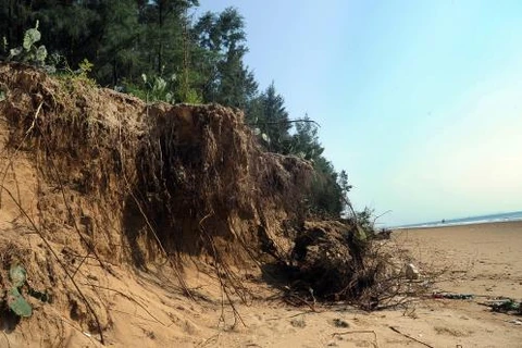 Khanh Hoa tackles coastal erosion 