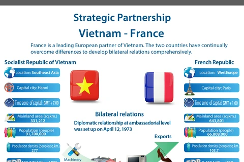 Vietnam-France strategic partnership