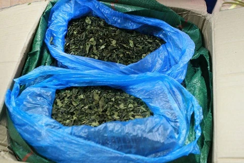 Over 82kg of suspected drug-linked leaves seized