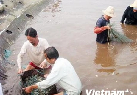 Kien Giang works to promote sustainable poverty reduction 
