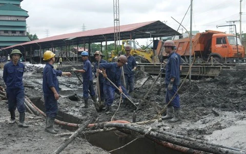 Coal companies post profits despite losses during floods