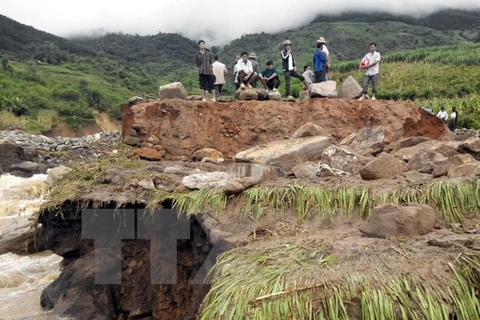  Quang Ngai seeks to improve provincial disaster response team