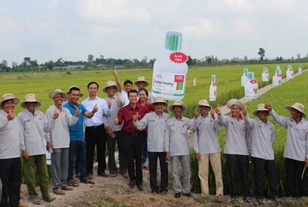 Rice institute teaches 1,000 delta farmers