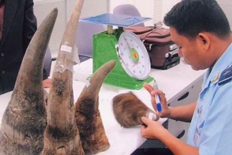  Synthetic rhino horns could not solve poaching problem