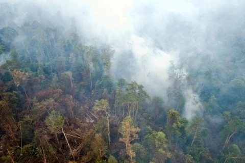Indonesia accepts international help to address haze
