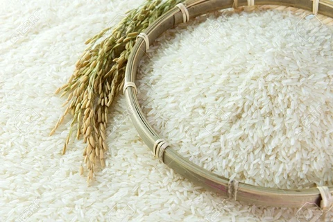 Public-private partnership in rice value chain discussed