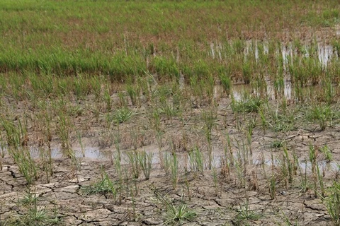 Big aid package approved to counter drought, saline intrusion 