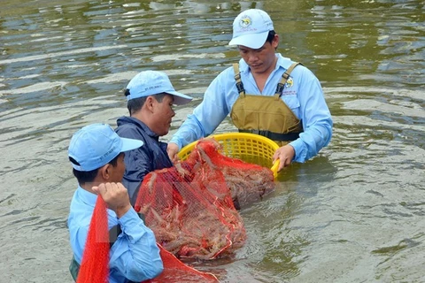 Mekong Delta makes livelihood adapt to climate change 