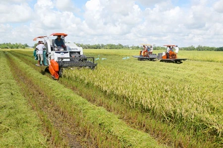 Mekong Delta agriculture needs high technology